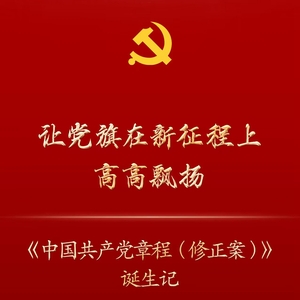 中国共产党章程第十一章